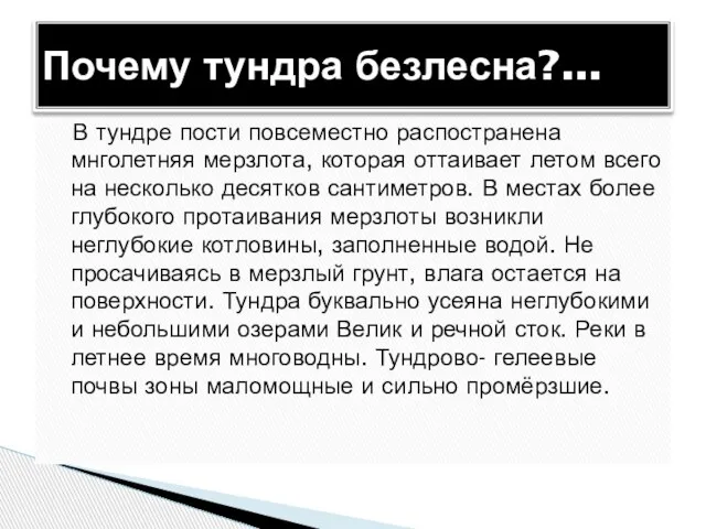 В тундре пости повсеместно распостранена мнголетняя мерзлота, которая оттаивает летом всего на