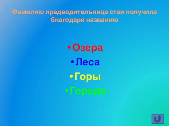 Фамилию предводительница стаи получила благодаря названию Озера Леса Горы Города