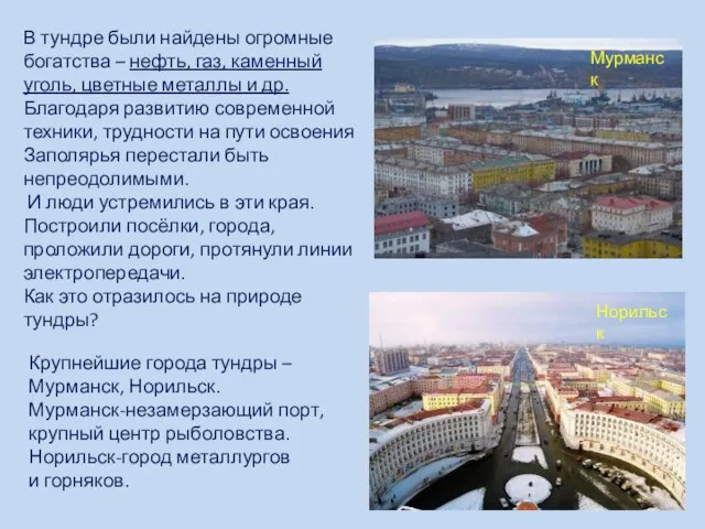 В тундре были найдены огромные богатства – нефть, газ, каменный уголь, цветные