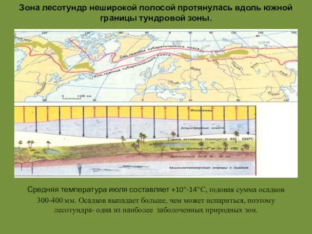 Зона лесотундр неширокой полосой протянулась вдоль южной границы тундровой зоны. Средняя температура