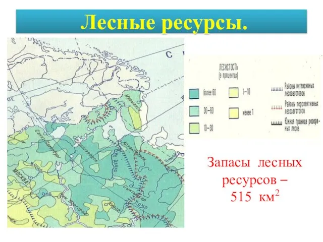 Лесные ресурсы. Запасы лесных ресурсов – 515 км2