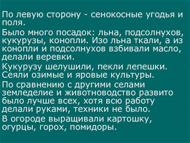 По левую сторону - сенокосные угодья и поля. Было много посадок: льна,