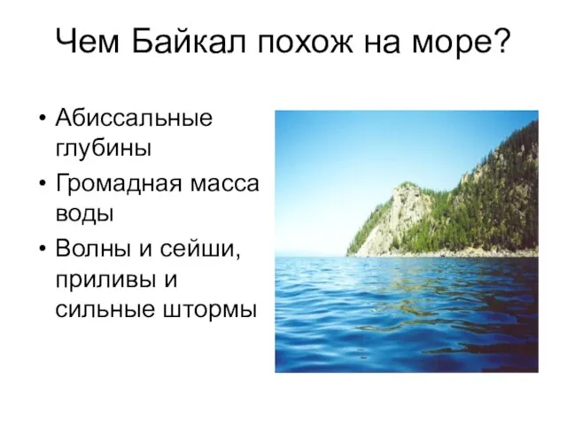 Чем Байкал похож на море? Абиссальные глубины Громадная масса воды Волны и