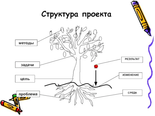 Структура проекта