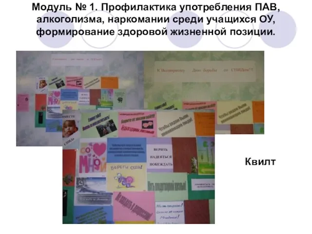 Модуль № 1. Профилактика употребления ПАВ, алкоголизма, наркомании среди учащихся ОУ, формирование здоровой жизненной позиции. Квилт