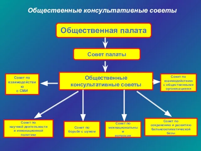 Совет по сохранению и развитию бальнеоклиматической базы Общественная палата Совет палаты Общественные