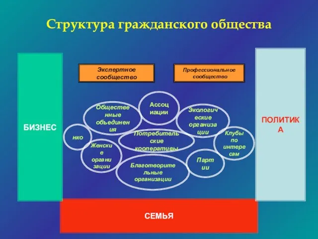 Структура гражданского общества Потребительские кооперативы Благотворительные организации Экологические организации Женские организации Общественные