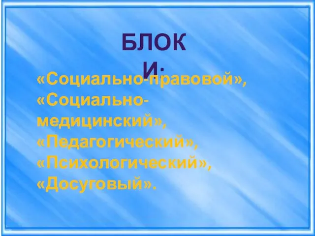 БЛОКИ: «Социально-правовой», «Социально-медицинский», «Педагогический», «Психологический», «Досуговый».