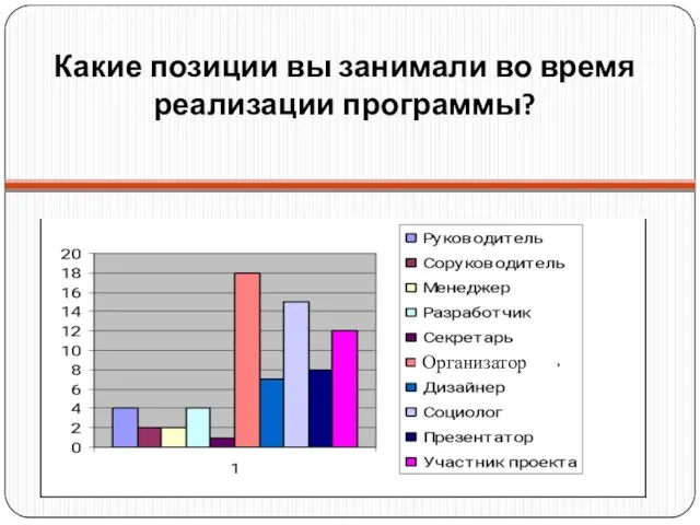 Какие позиции вы занимали во время реализации программы? Организатор