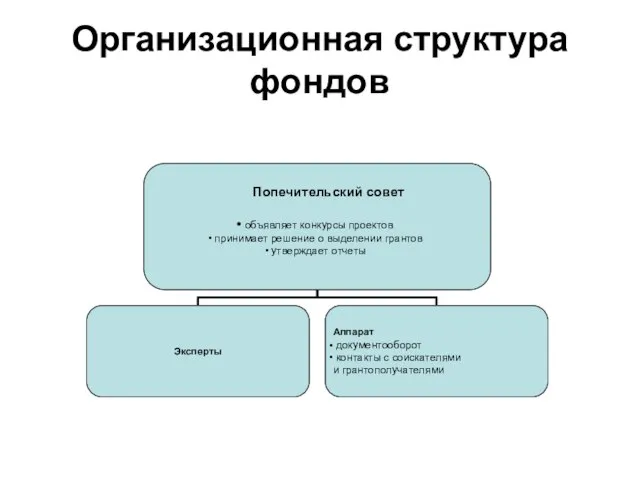 Организационная структура фондов