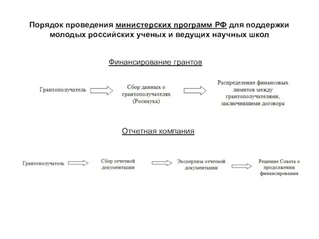 Порядок проведения министерских программ РФ для поддержки молодых российских ученых и ведущих