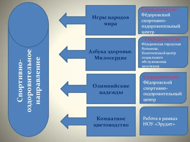 Спортивно-оздоровительное направление Игры народов мира Азбука здоровья. Милосердие Олимпийские надежды Комнатное цветоводство