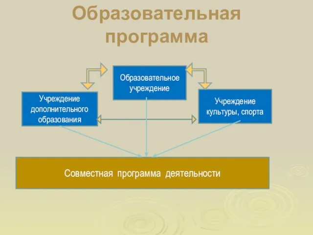 Образовательная программа