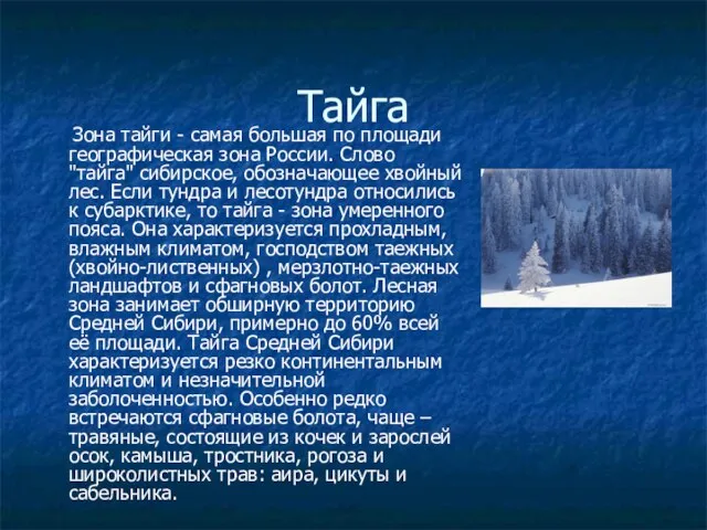 Тайга Зона тайги - самая большая по площади географическая зона России. Слово