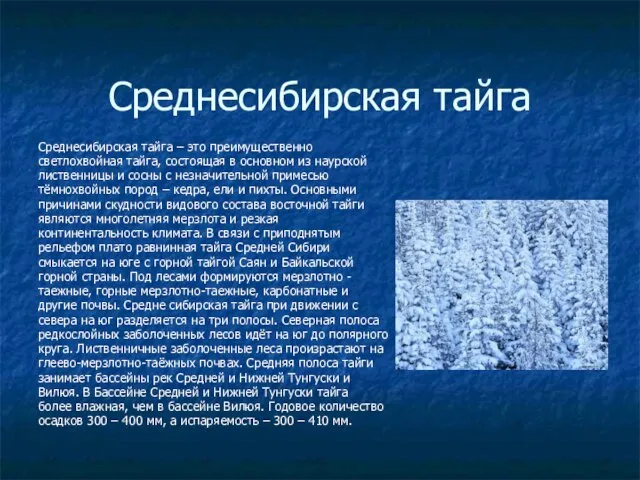 Среднесибирская тайга Среднесибирская тайга – это преимущественно светлохвойная тайга, состоящая в основном