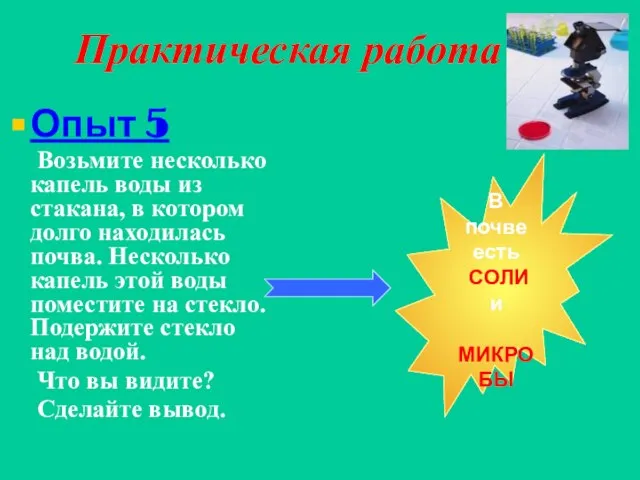 Практическая работа Опыт 5 Возьмите несколько капель воды из стакана, в котором