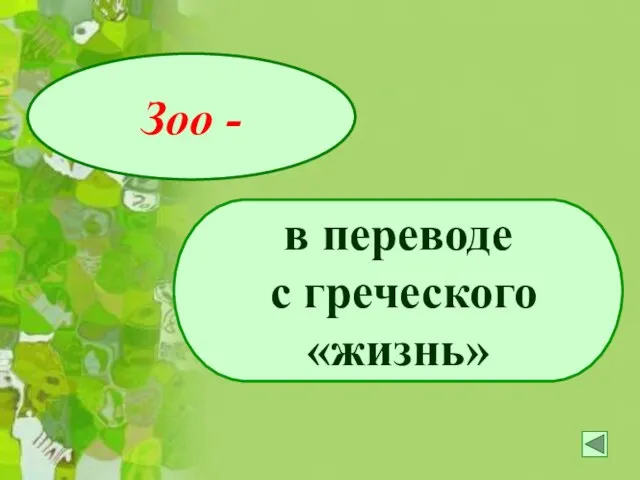 Зоо - в переводе с греческого «жизнь»