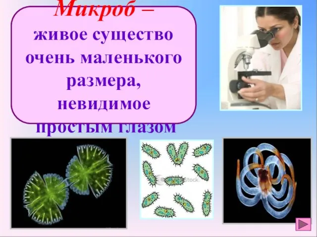 Микроб – живое существо очень маленького размера, невидимое простым глазом