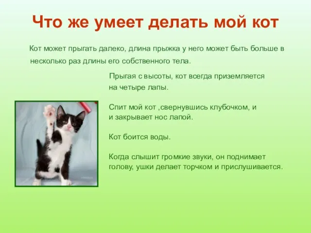 Что же умеет делать мой кот Кот может прыгать далеко, длина прыжка