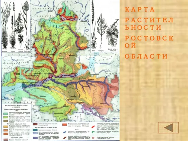 КАРТА РАСТИТЕЛЬНОСТИ РОСТОВСКОЙ ОБЛАСТИ