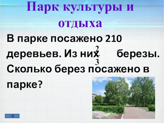 В парке посажено 210 деревьев. Из них березы. Сколько берез посажено в