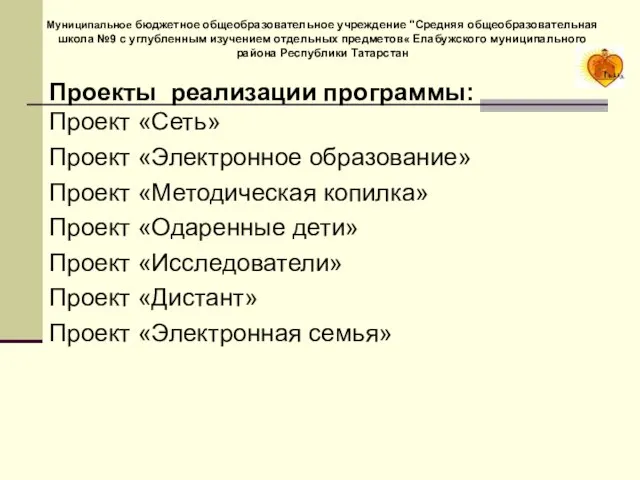 Проекты реализации программы: Проект «Сеть» Проект «Электронное образование» Проект «Методическая копилка» Проект