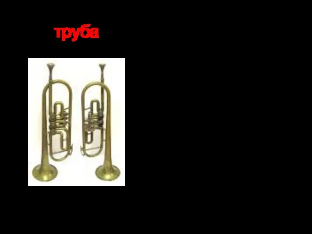 труба духовой музыкальный оркестровый и сольный инструмент высокого регистра; состоит из цилиндрической