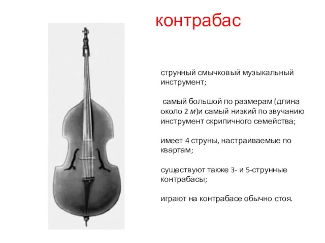 контрабас струнный смычковый музыкальный инструмент; самый большой по размерам (длина около 2