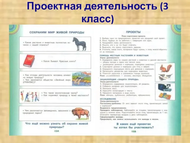 Проектная деятельность (3 класс)