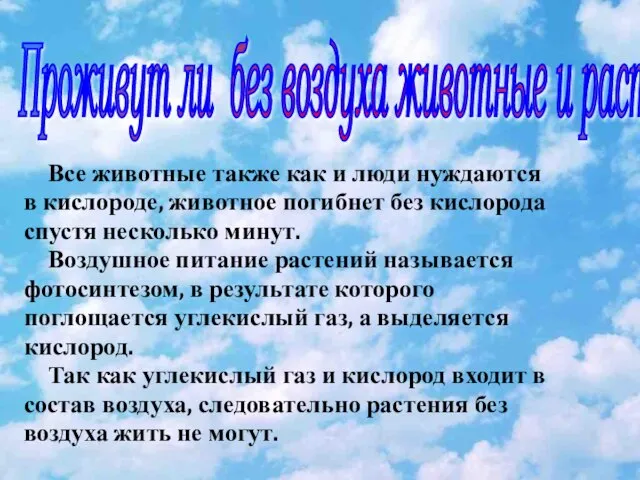 Все животные также как и люди нуждаются в кислороде, животное погибнет без