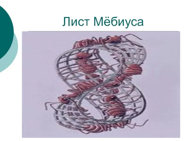 Лист Мёбиуса