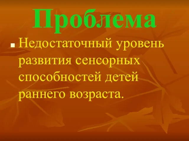 Проблема Недостаточный уровень развития сенсорных способностей детей раннего возраста.