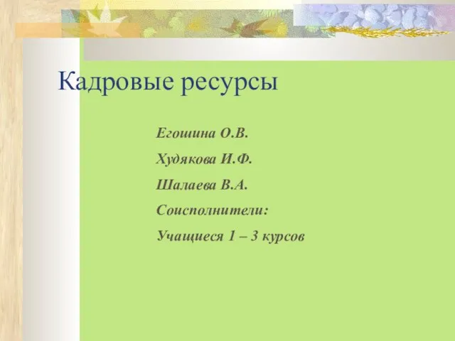 Кадровые ресурсы Егошина О.В. Худякова И.Ф. Шалаева В.А. Соисполнители: Учащиеся 1 – 3 курсов