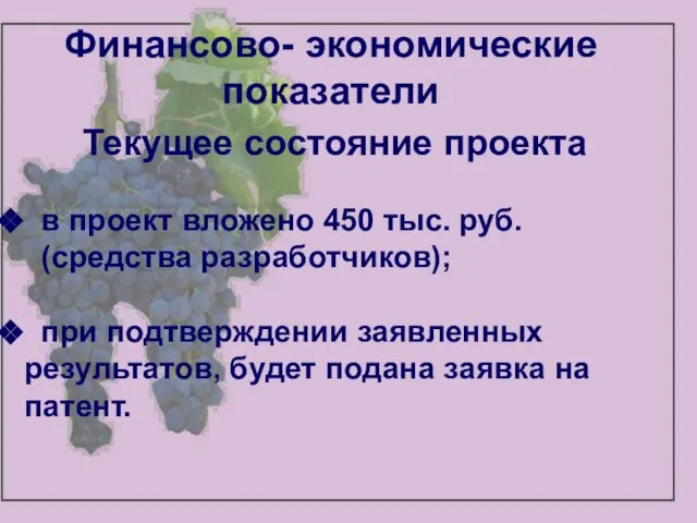 Финансово- экономические показатели Текущее состояние проекта в проект вложено 450 тыс. руб.