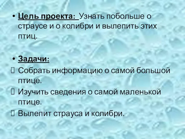 Цель проекта: Узнать побольше о страусе и о колибри и вылепить этих