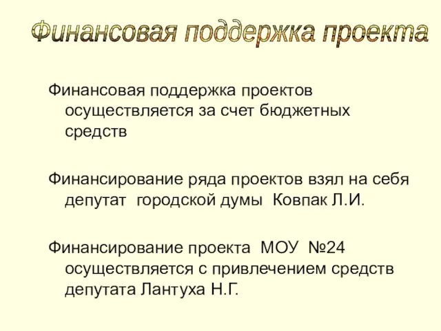 Финансовая поддержка проектов осуществляется за счет бюджетных средств Финансирование ряда проектов взял