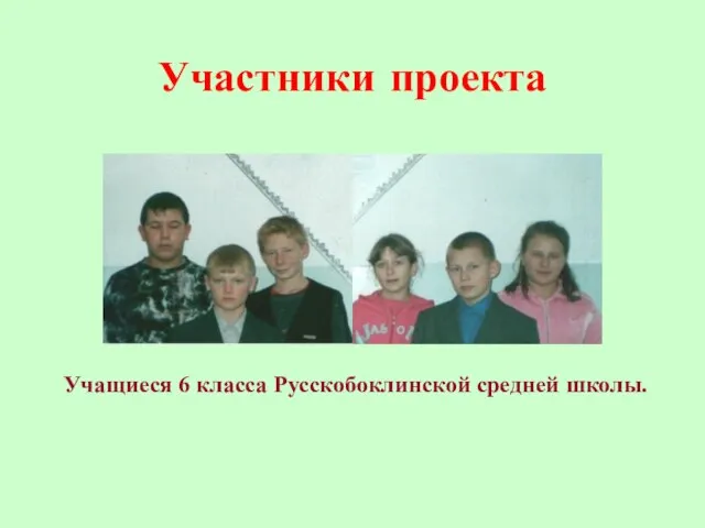 Участники проекта Учащиеся 6 класса Русскобоклинской средней школы.