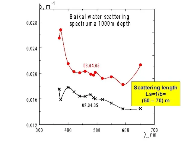 Scattering length Ls=1/b= (50 – 70) m