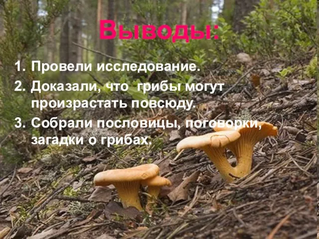 Выводы: Провели исследование. Доказали, что грибы могут произрастать повсюду. Собрали пословицы, поговорки, загадки о грибах.