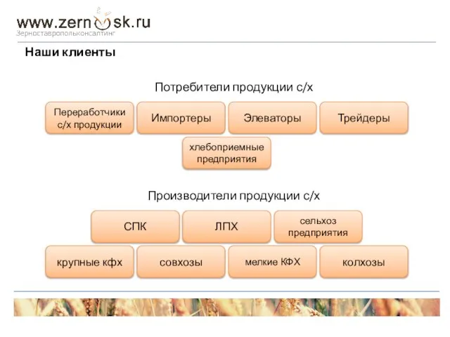 колхозы совхозы сельхоз предприятия крупные кфх мелкие КФХ Элеваторы Трейдеры Переработчики с/х