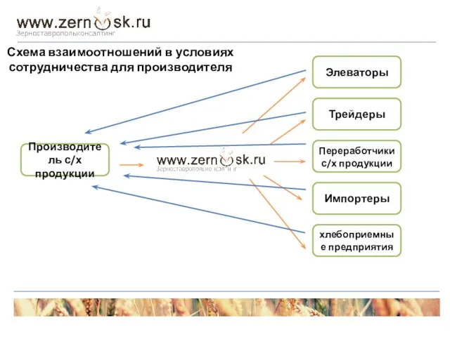 Производитель с/х продукции Элеваторы Трейдеры Переработчики с/х продукции Импортеры хлебоприемные предприятия Схема