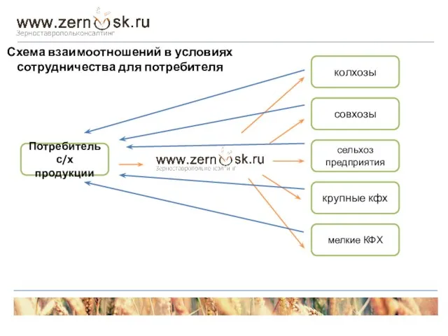 Потребитель с/х продукции колхозы совхозы сельхоз предприятия крупные кфх мелкие КФХ Схема