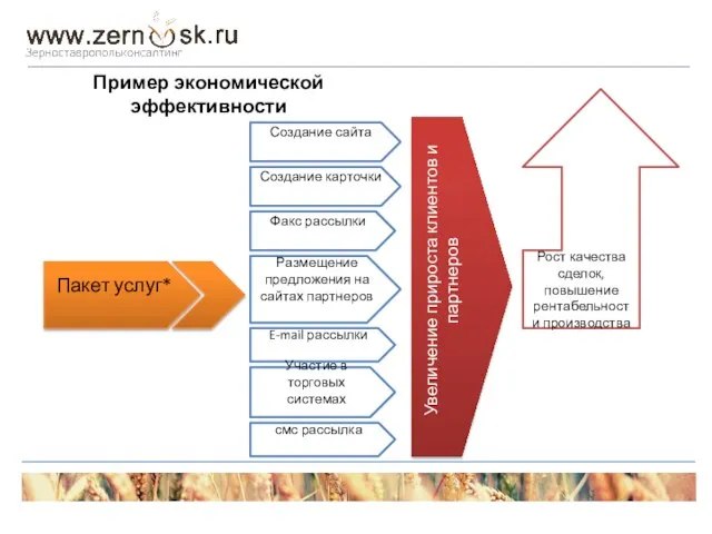 Пакет услуг* Создание сайта Создание карточки Размещение предложения на сайтах партнеров Факс