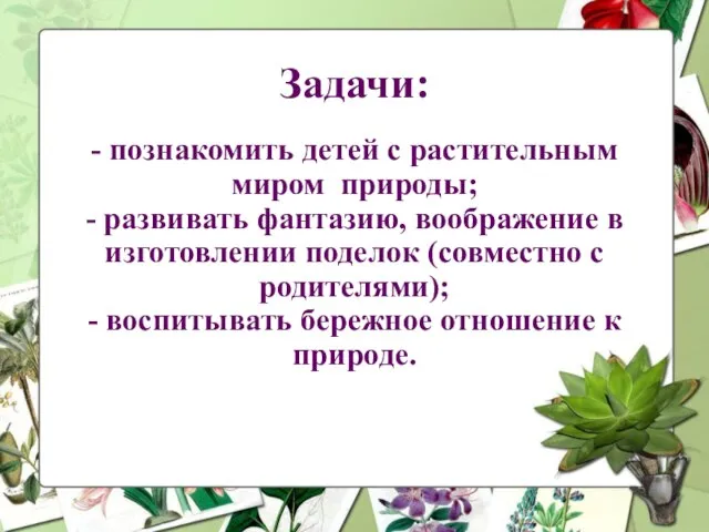 Задачи: - познакомить детей с растительным миром природы; - развивать фантазию, воображение