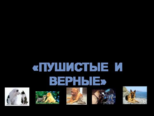 Если ты хочешь… Хочешь научится понимать своего четвероногого друга, то приглашаем тебя