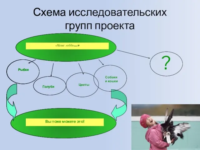 Схема исследовательских групп проекта