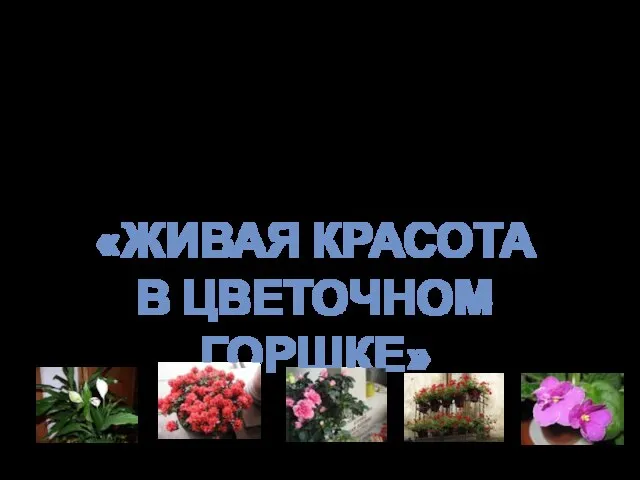 Если ты хочешь… Стать дизайнером живой красоты цветов, то приглашаем тебя в