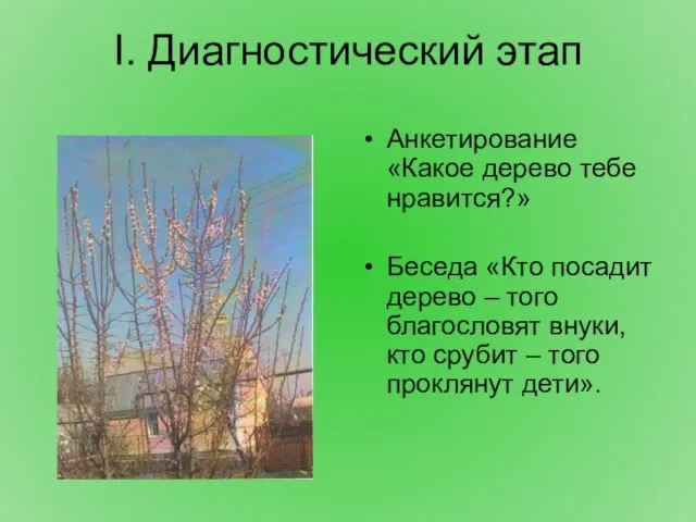 I. Диагностический этап Анкетирование «Какое дерево тебе нравится?» Беседа «Кто посадит дерево