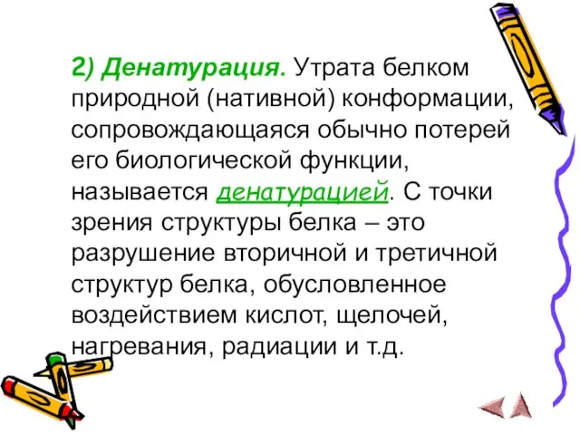 2) Денатурация. Утрата белком природной (нативной) конформации, сопровождающаяся обычно потерей его биологической