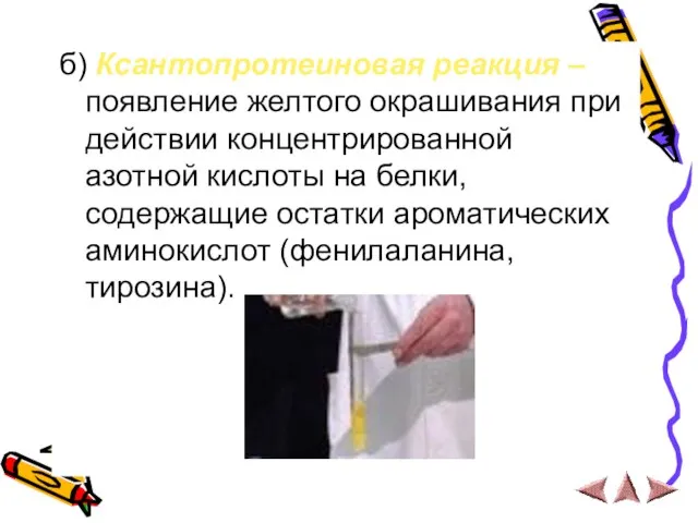 б) Ксантопротеиновая реакция – появление желтого окрашивания при действии концентрированной азотной кислоты